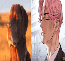 a brown dog next to a man with pink hair