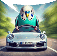 a parakeet is driving a silver porsche with a license plate that says sp ps 3573