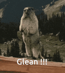 a ground squirrel standing on its hind legs with the words glean written below it