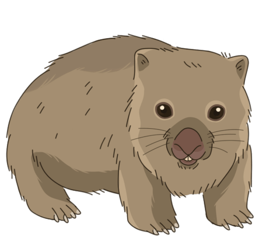 Wombat Common Wombat Sticker - Wombat Common Wombat Coarse Haired Wombat Stickers