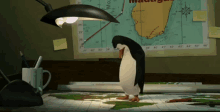 Madagascar Penguin GIF - Madagascar Penguin GIFs