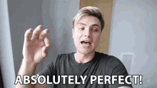 Absolutely Perfect Carter Sharer GIF - Absolutely Perfect Carter Sharer Lizzy Capri GIFs