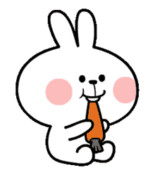 spoiled rabbit eat carrot happy cute