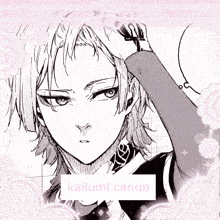 kaiser kailumi canon is written on a pink background