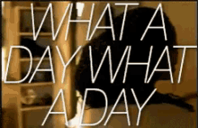 What A Day GIF - What A Day Erykah Badu GIFs