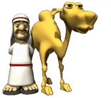 Camel GIF - Camel GIFs