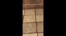 a person is crawling through a stall in a bathroom .