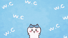 a cartoon of a cat with the words i 'm going to the bathroom below it
