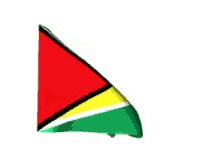 Guyana GIF - Guyana GIFs