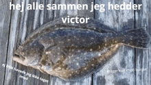 a picture of a fish with the name victor written on it