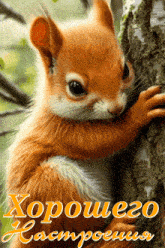 a picture of a squirrel on a tree branch with the words " хорошего настроения " on the bottom