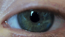 Eye Macro GIF - Eye Macro GIFs