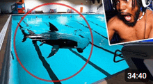 a shark is swimming in a swimming pool next to a man .