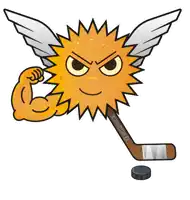 a cartoon sun with wings is holding a hockey stick that says big suisse
