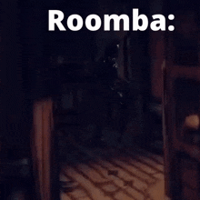 a blurred image of a person with roomba written on the top