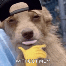 a dog wearing a hat is eating a banana and says without me