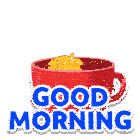 Good Morning Goodmorning Sticker - Good Morning Goodmorning Morning Stickers