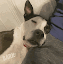 Dog Talking GIF - Dog Talking Sleeping GIFs