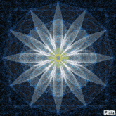 a picture of a flower with pixiz written below it