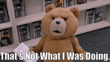 Ted Tv Show Thats Not What I Was Doing GIF