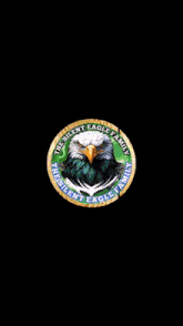 a logo for the silent eagle family with a bald eagle on it