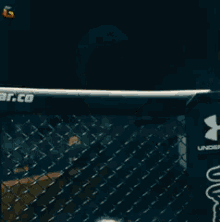 爆发，拳击 GIF - Explode Boxing GIFs
