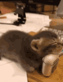 Airpod Cat GIF - Airpod Cat Fall GIFs