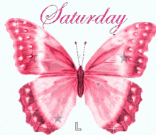 a pink butterfly on a white background with saturday written above it
