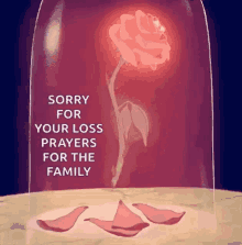 Sympathy Sorry For Your Loss GIF - Sympathy Sorry For Your Loss Sparkles GIFs