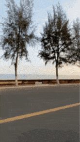 a road with trees on the side of it and a yellow line