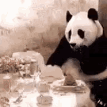 Panda Bill GIF - Panda Bill Shocked GIFs