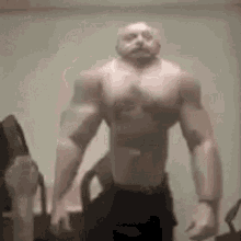 Lula Musculoso GIF - Lula Musculoso Malhado GIFs