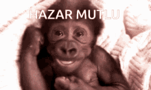 Hazar Malhazar GIF - Hazar Malhazar GIFs