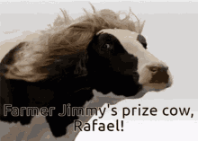 Cow Rafael GIF - Cow Rafael Prize Cow GIFs