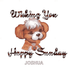 Wishing You Happy Sunday Puppy GIF
