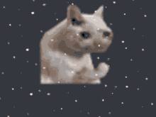 Crying Cat Voidrayn GIF - Crying Cat Voidrayn Pipetteeto GIFs