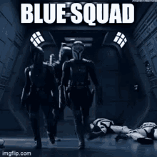 blue squadron
