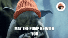 Cwif Yoda GIF - Cwif Yoda Pump GIFs