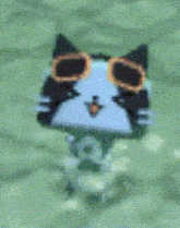 a black and white cat wearing sunglasses is sitting on a table