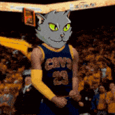 a man wearing a cavs jersey with a cat mask on his head