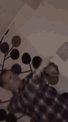 Mikke Dance Party GIF - Mikke Dance Party Success GIFs
