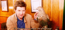 Adam Scott Im Feeding Your Eagle GIF - Adam Scott Im Feeding Your Eagle Parksandrec GIFs