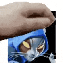 a person is petting a cat with a blue hood on .