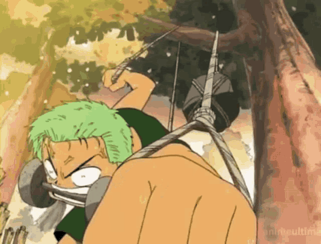 Muryllo Zoro GIF - Muryllo Zoro Zoro Sola - Discover & Share GIFs