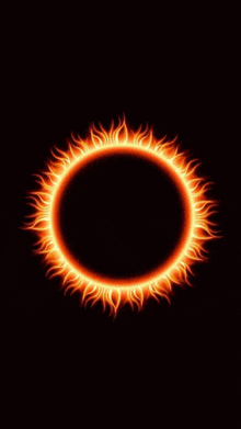 a zero point family logo with a fire circle