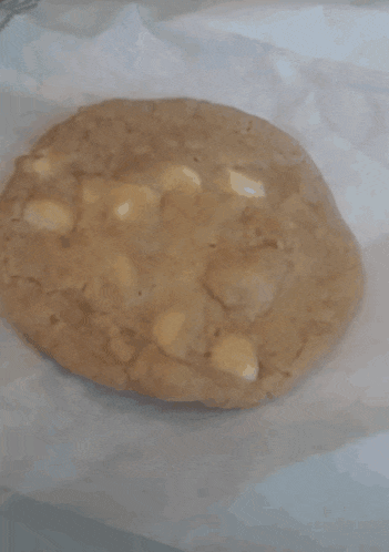 subway macadamia nut cookies