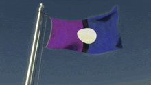 a purple and blue flag with a white circle in the middle