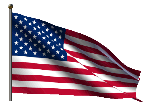 Usa United States Of America Sticker