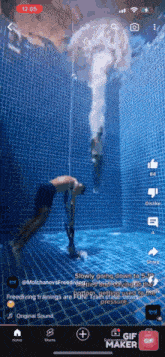 Diver Dance Understandable Have A Nice Day GIF - Diver Dance Understandable Have A Nice Day Underwater GIFs