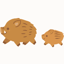 イノシシ　かわいい　あけおめ GIF - Boar Pig Cute Animal GIFs